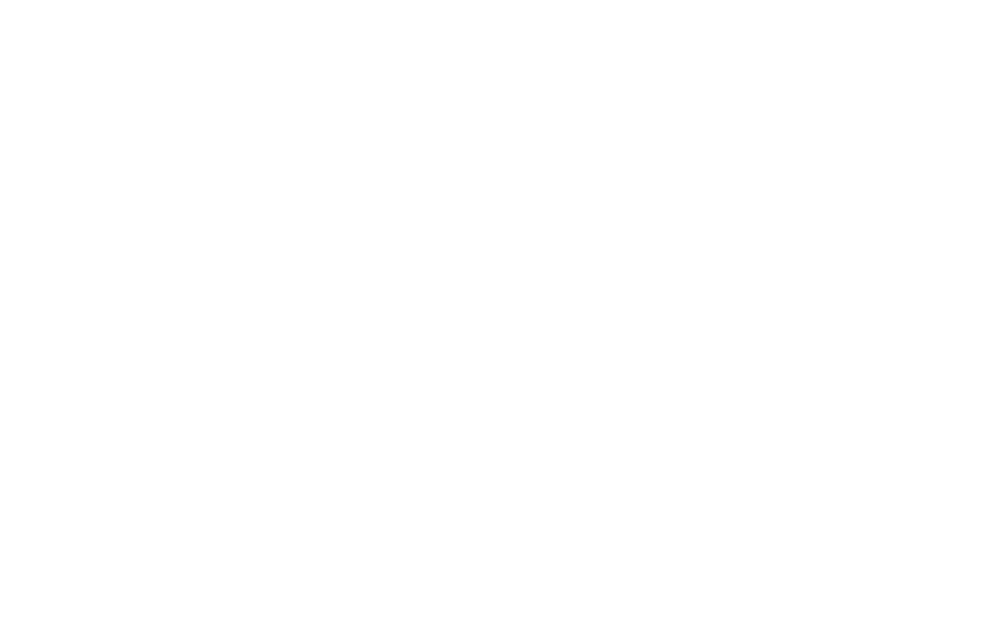nordic brain tech logo vit