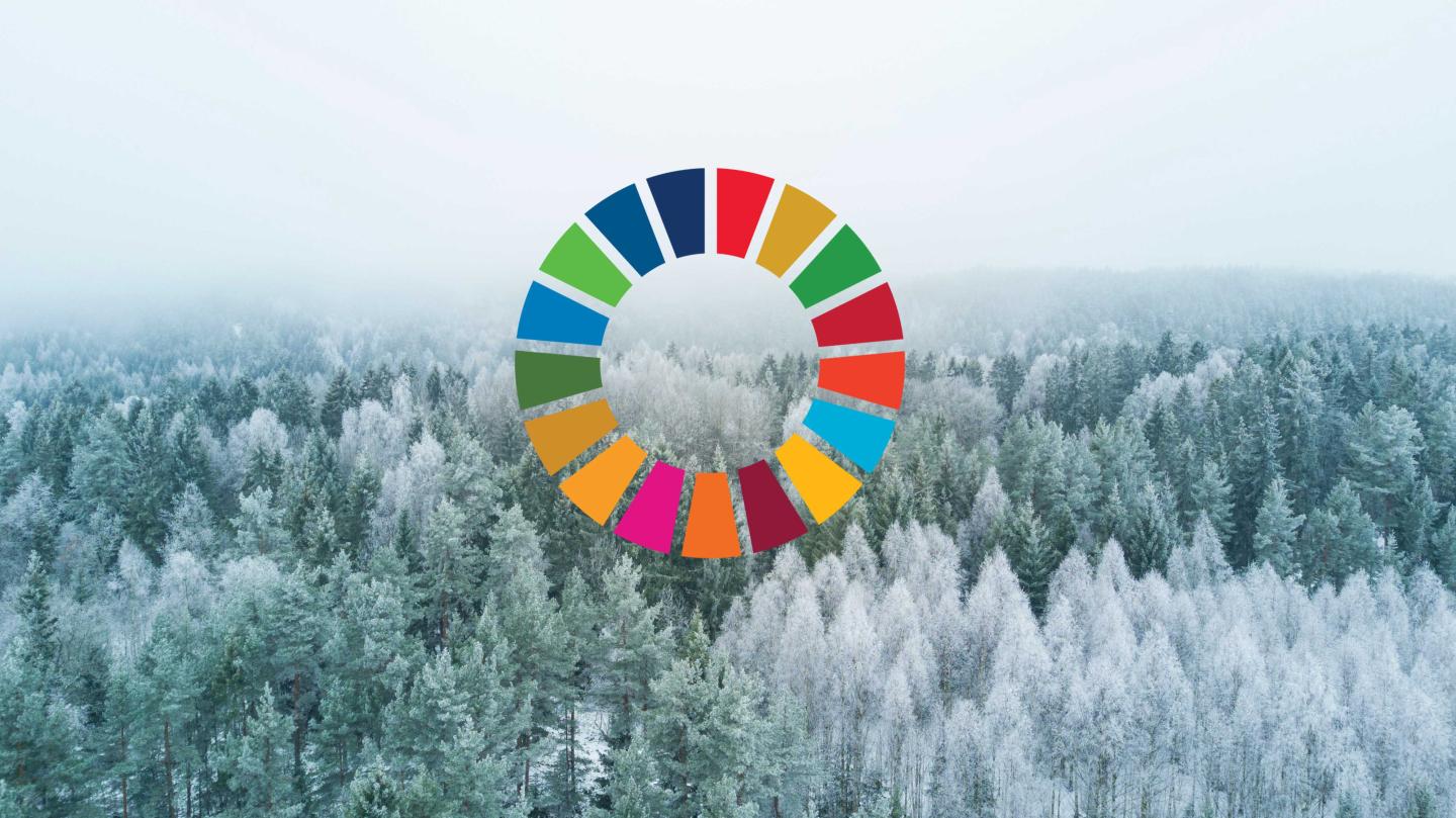 Winter_trees_global_goals